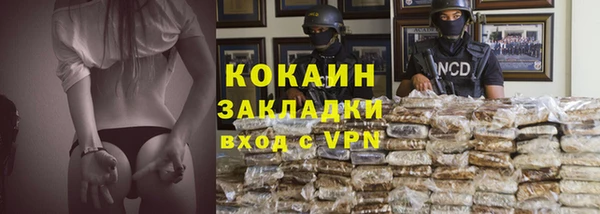 сатива Белокуриха