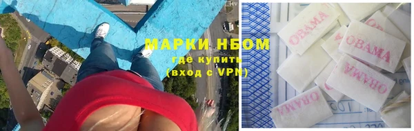 сатива Белокуриха