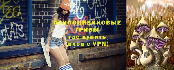сатива Белокуриха