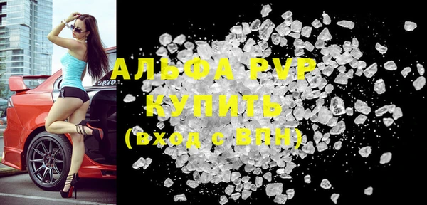 сатива Белокуриха
