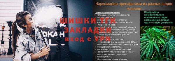 сатива Белокуриха
